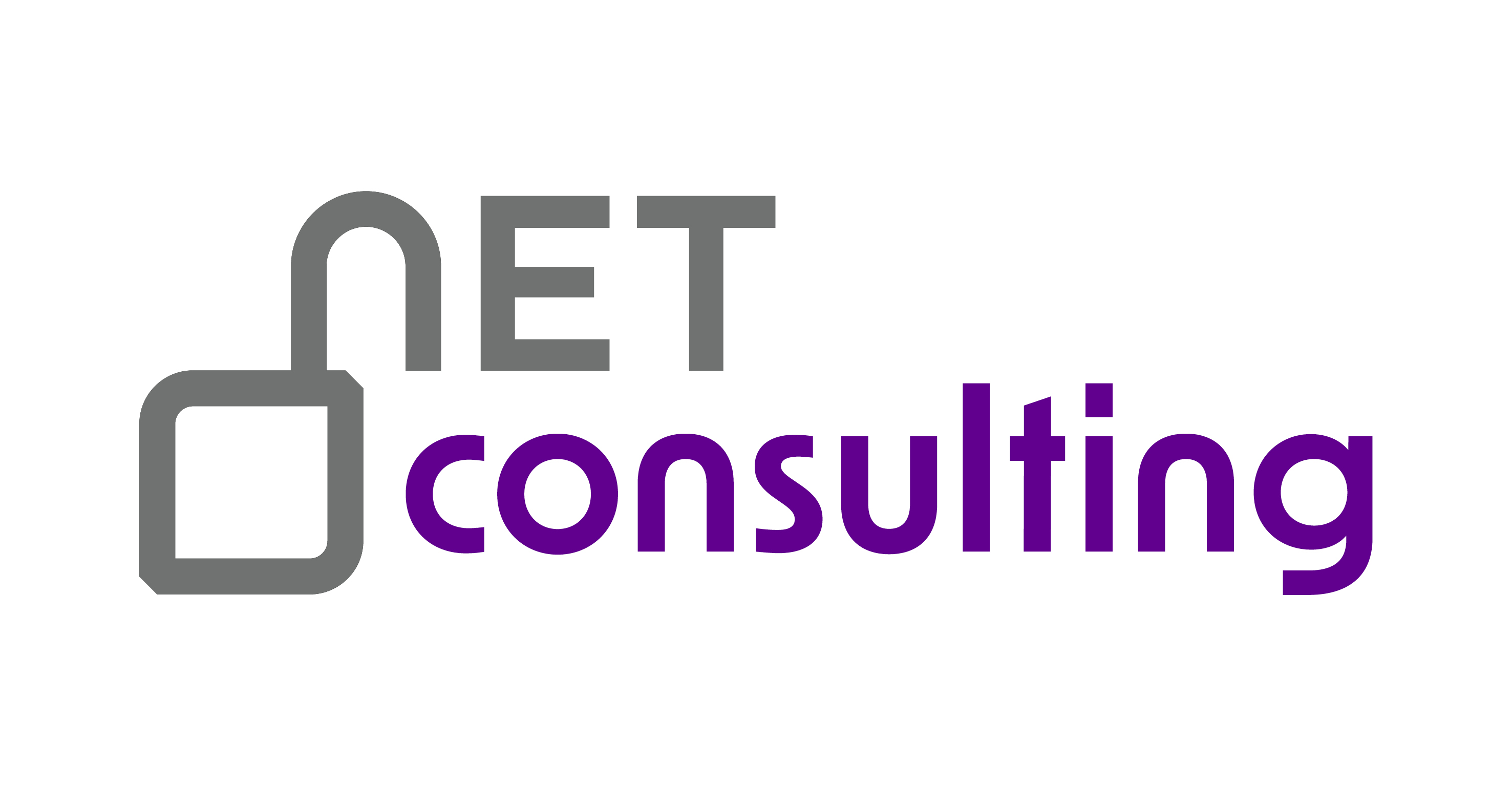 Netconsulting Logo